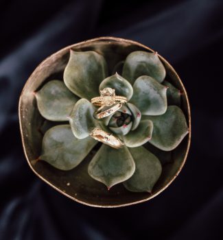 Die Verlobung bekannt geben – zwischen Öffentlichkeit, Intimität und dem richtigen Moment