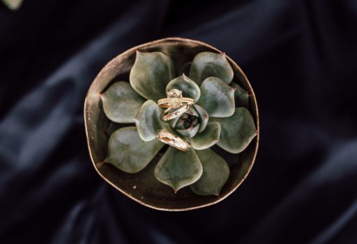 Hochzeitsdekoration Schale mit Pflanze und Eheringen